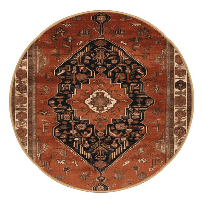 Machine Washable Persian Brown Area Rug