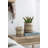 Eralia Pot Planter-361195182