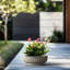 Grand pot / pot rond en béton avec trous de drainage-54995941-54995942