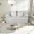 Loveseat Couch With Two Back Cushions