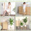 Paquet de 3 supports à plantes d'intérieur en bois-1064929919