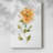 Bright Botanical II -Gallery Wrapped Cavas-333882726