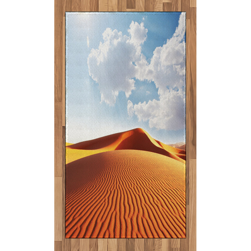 Desert High Density Long Fiber Poly Threads Decorative Area Rug Carpet, Rectangle 2'7" x 5'