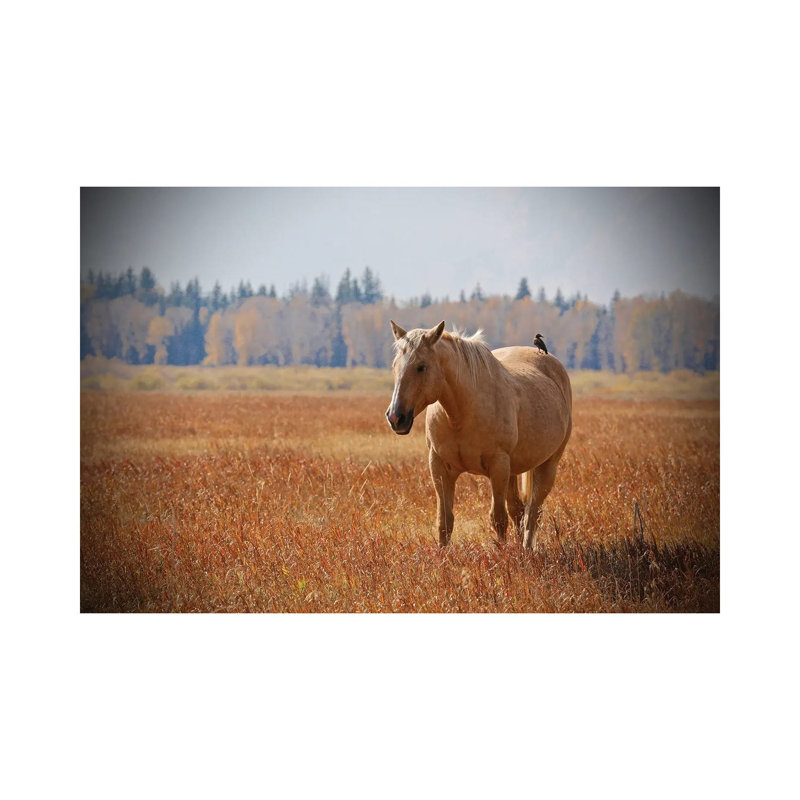 Hitching A Ride II by Susan Vizvary - Wrapped Canvas Print, 101.6 cm H x 66.04 cm W x 3.175 cm D