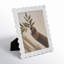 Lilly White Picture Frame