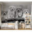 Papier peint animaux - Quatre chiots-988517280