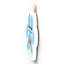 Gruia Wall Decor