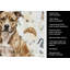 Serviette de cuisine Brindle American Staffordshire-1234934642