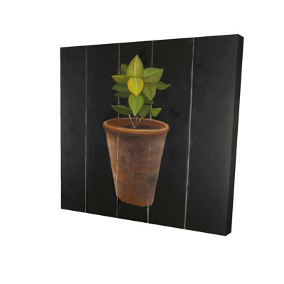 Plant of Bay Leaves Canvas | Brown Botanical Kitchen Decor