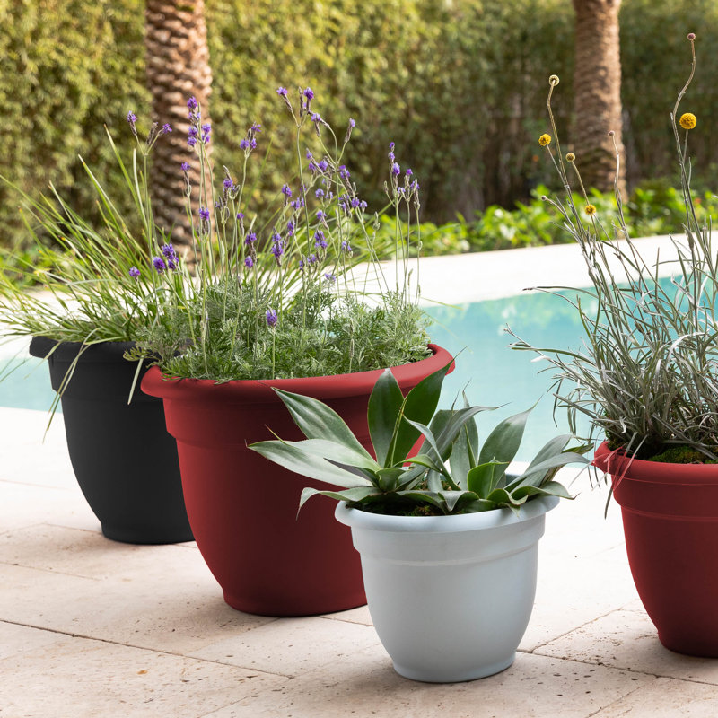 Pot à fleurs intérieur / extérieur Traditional, H 17 po x l 21,5 po x P 21,5 po, Rouge vif