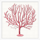 Red Branch Coral 5 Print by Lillian August