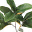 SEASONAL GREENERY STEM S/4 MAGNOLIA GREEN 36IN