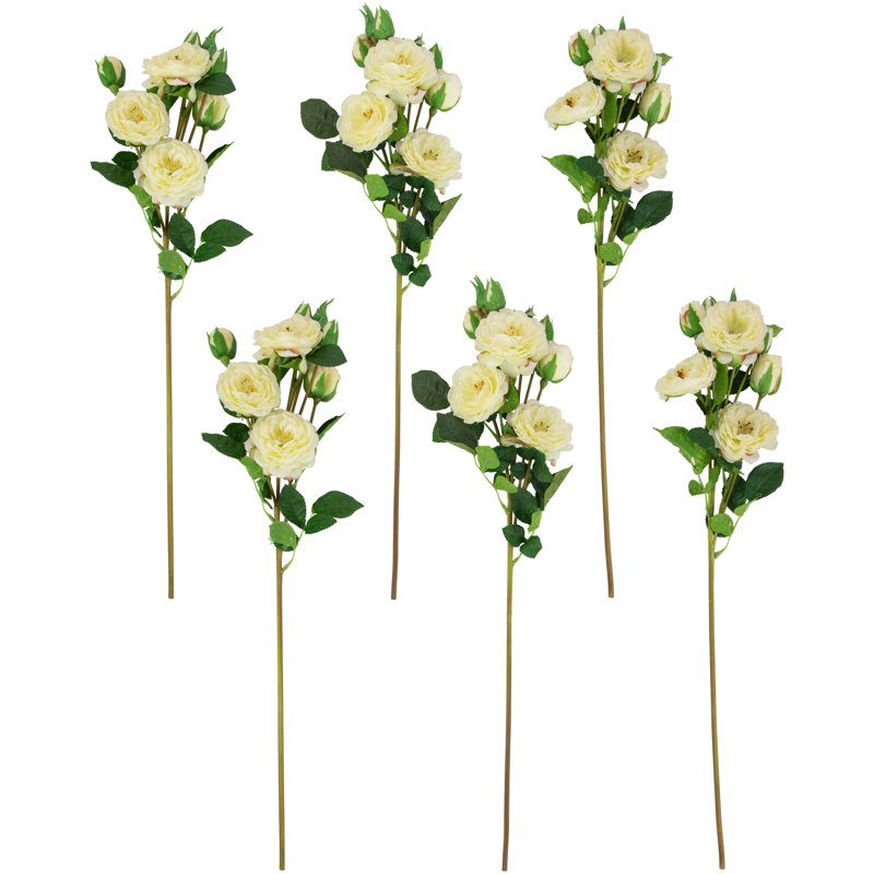 Jets de roses, Blanc