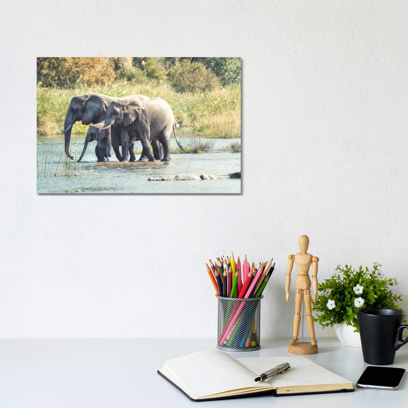 Elephant Trio II by MScottPhotography - Wrapped Canvas Gallery-Wrapped Canvas Giclée, 20.32 cm H x 30.48 cm W