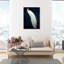 Habillé de plumes - impression-119403334-72500299-72500298