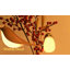 Lampe Pie - champagne-121696869