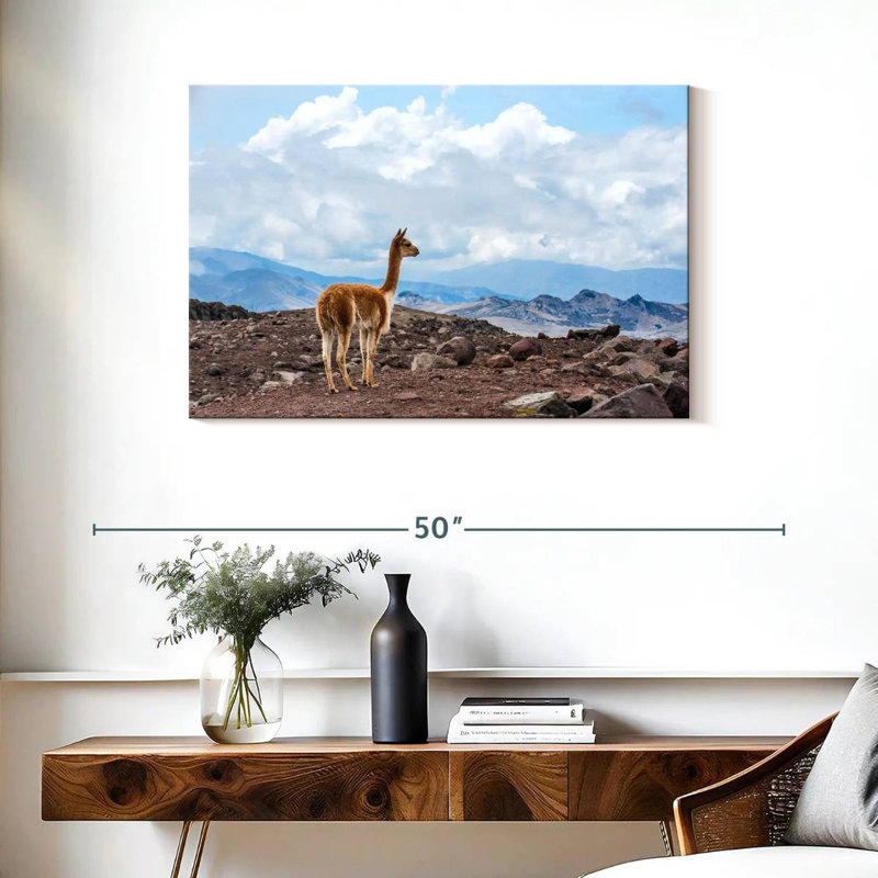 Vicuna Brampt, H 24 po x l 36 po
