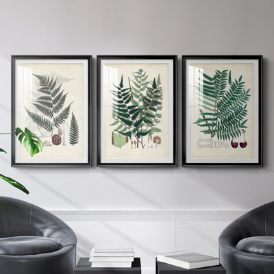 «Ferns VI», reproduction encadrée de qualité supérieure, prête à être accrochée