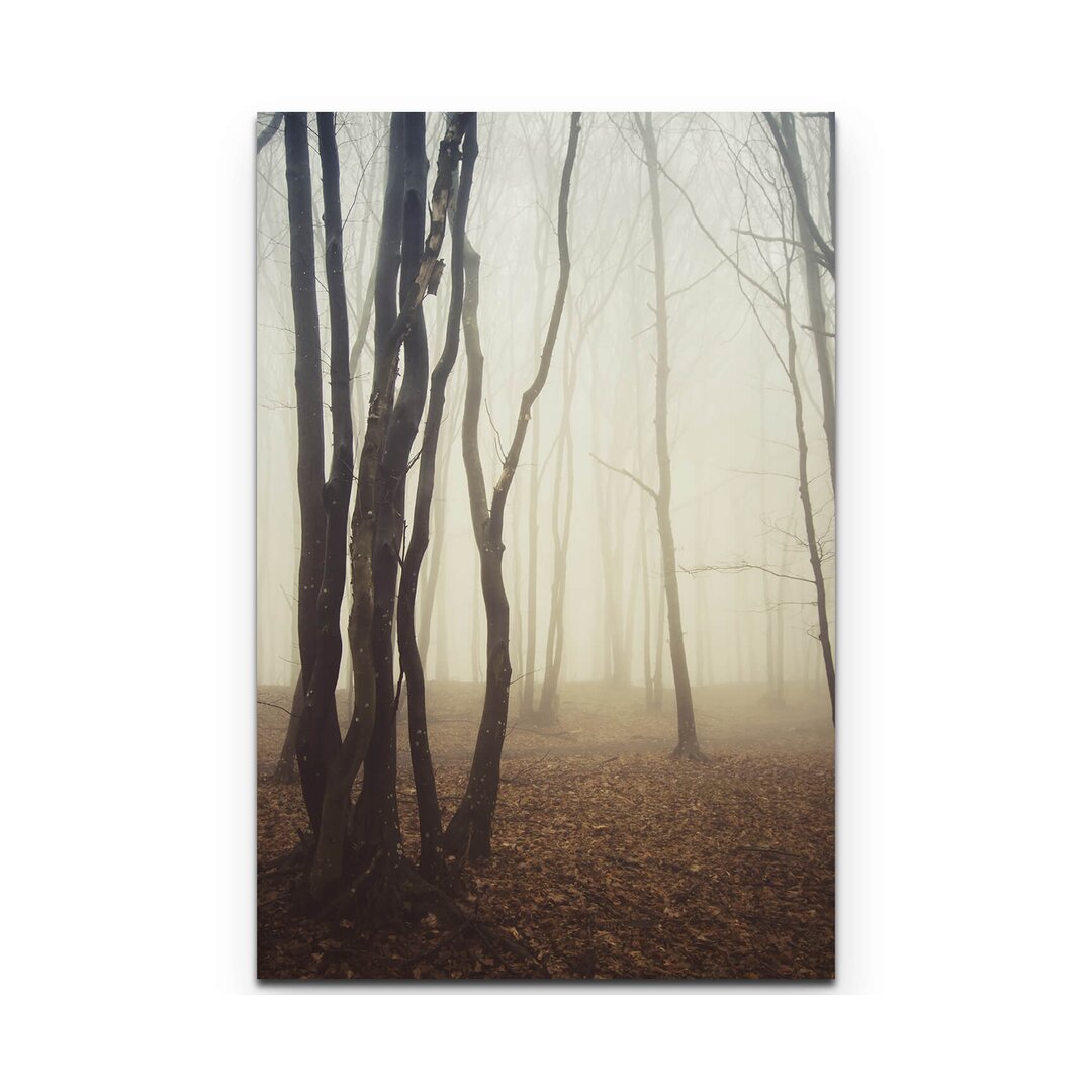 Leinwandbild Wald im Nebel