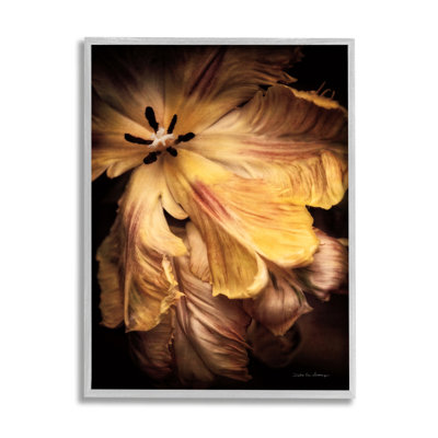 Hibiscus par Debra Van Swearingen
