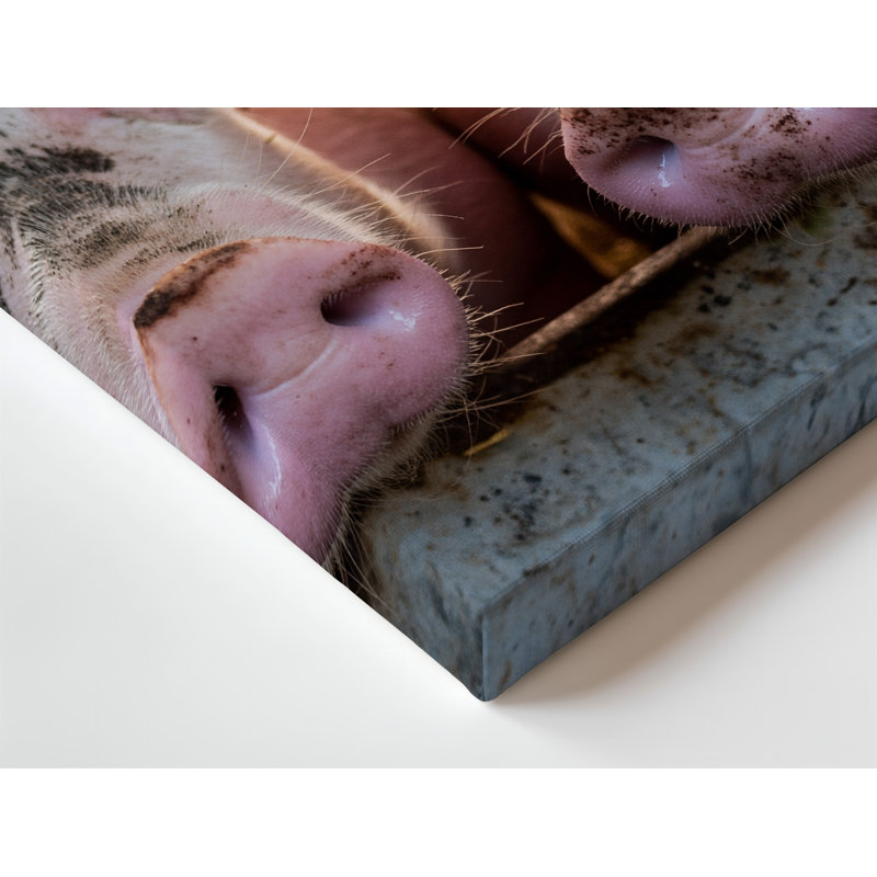 Toile en gros plan, deux cochons roses avec art mural proéminent, museaux texturés et poils doux, H 20 po x l 20 po