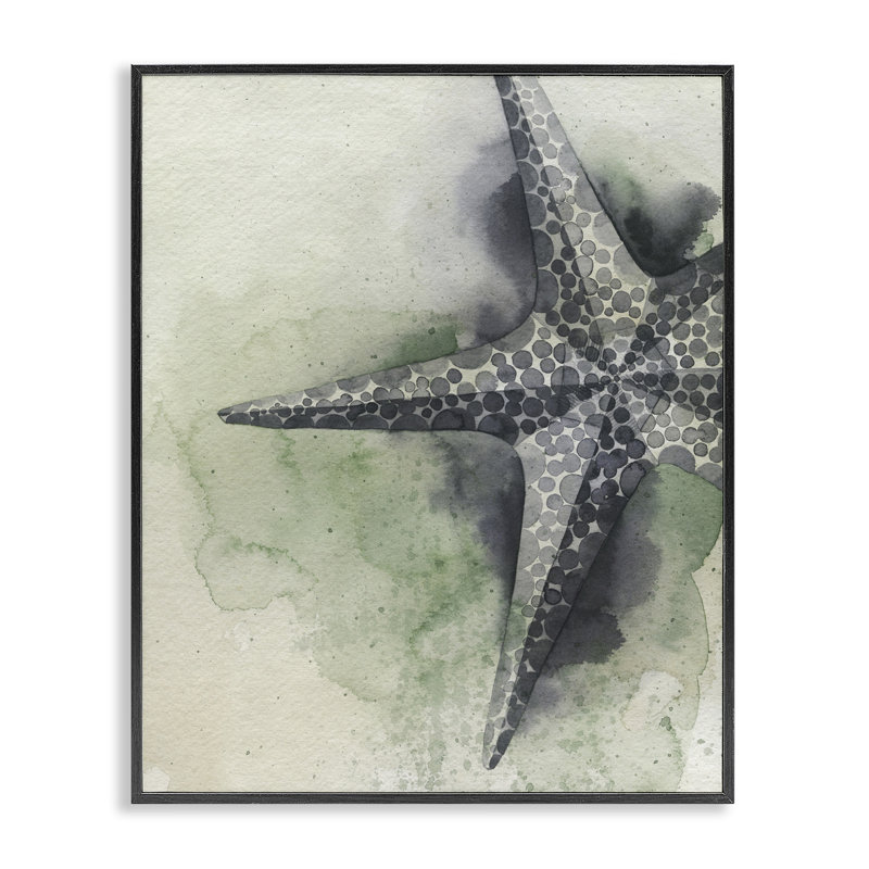 Étoile de mer tachetée, estampe numérique par Grace Popp, Giclée encadrée noir minuit, H 14 po x l 11 po