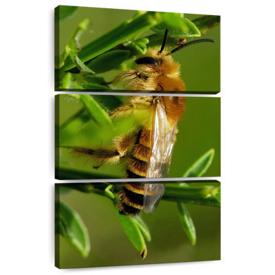 Brampt Bee Bee Bee