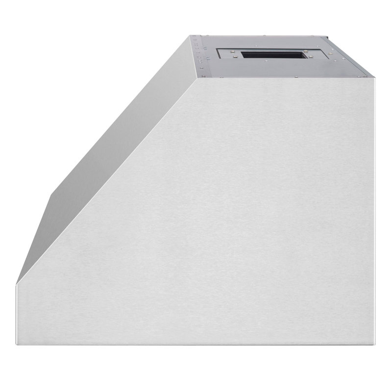 48" Professional Vent Hood