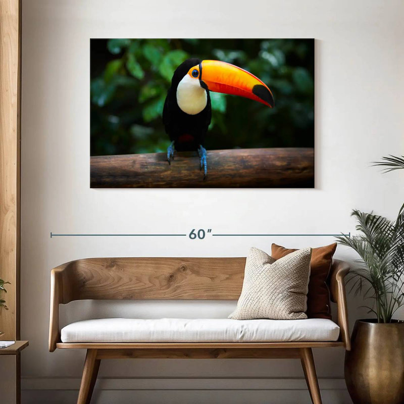 Brampt Brazilian Toucan, 30" H x 45" W
