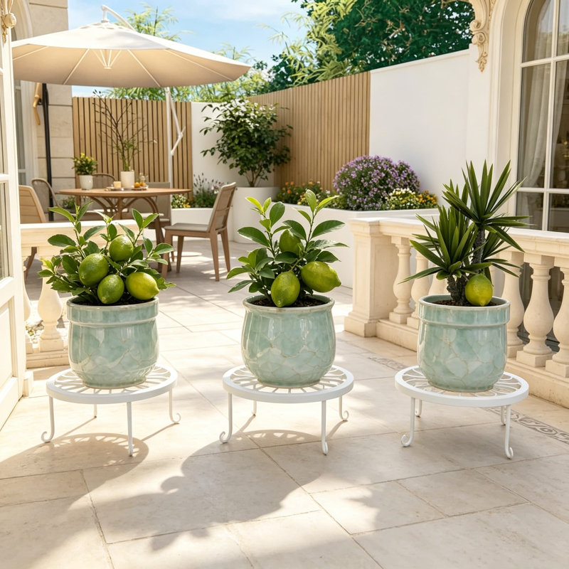 Support pour plante robuste en métal pour 3 pièces