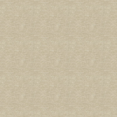 Beige Acrylic, Polyester and Viscose Fabric