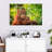 Leaf Munching Orangutan-107887508