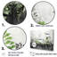 «Green Minimalisme Botanical Serenity - Plants», ensemble d'art sur toile-107749948-107749953