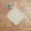 Hemstitch Solid Napkin Set of 6-1528679183