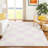Machine Washable Indoor/Outdoor Braegger ACN2345 Geometric Rug-66665246