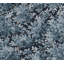 Greenwood Moss Deciduous Wallpaper-846703813
