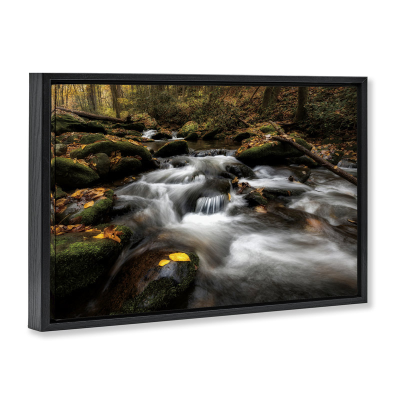 Fallen Leaves on Stream Floating Frame, design by D. Burt, Jet Black Floater Frame, 17" H x 25" W