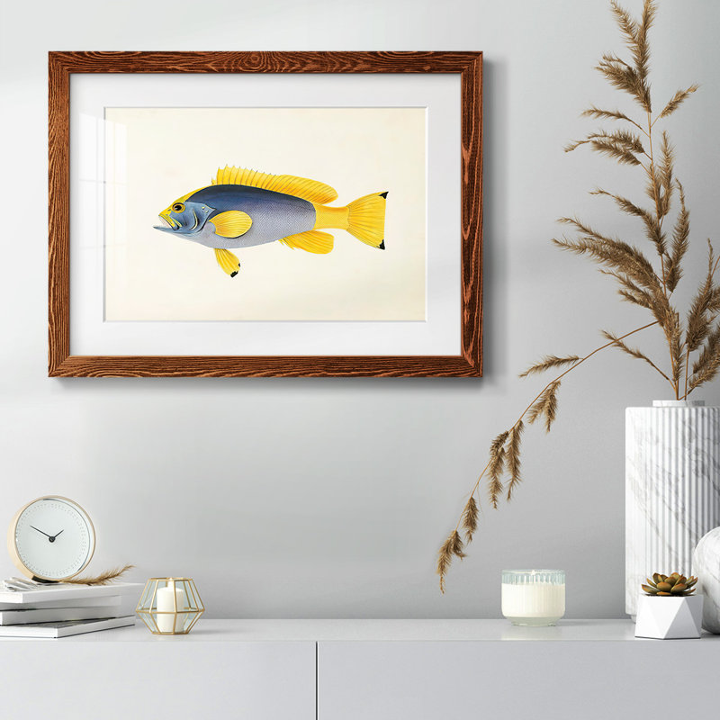 " Tropical Fish Collection V ", 14" H x 20" W, Maple