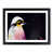 Black Framed selected