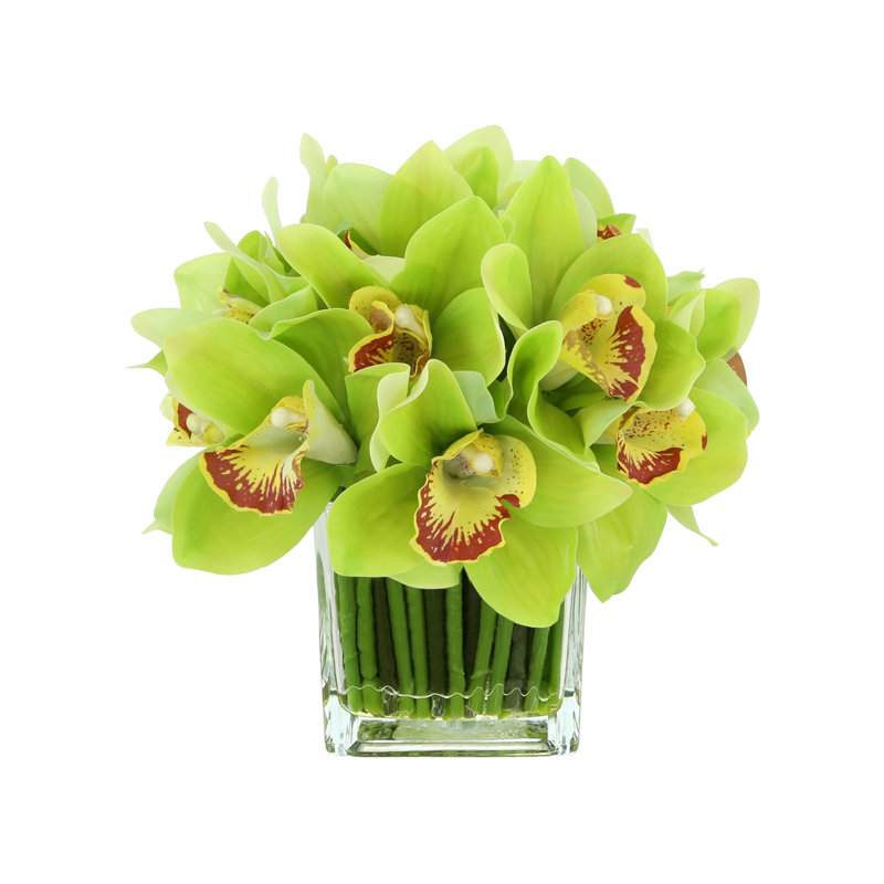 Orchidée Lehn dans un vase en verre, Jaune/vert