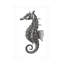 Hippocampe sur toile