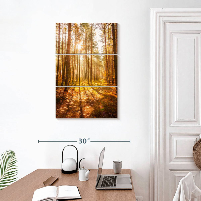 Alvord, forêt d'automne, soleil, H 32 po x l 20 po