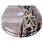 Cela Soft Close Round Standard Toilet Seat