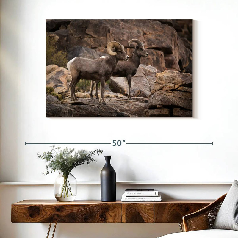 Bighorn Sheep Couple, 26" H x 39" W