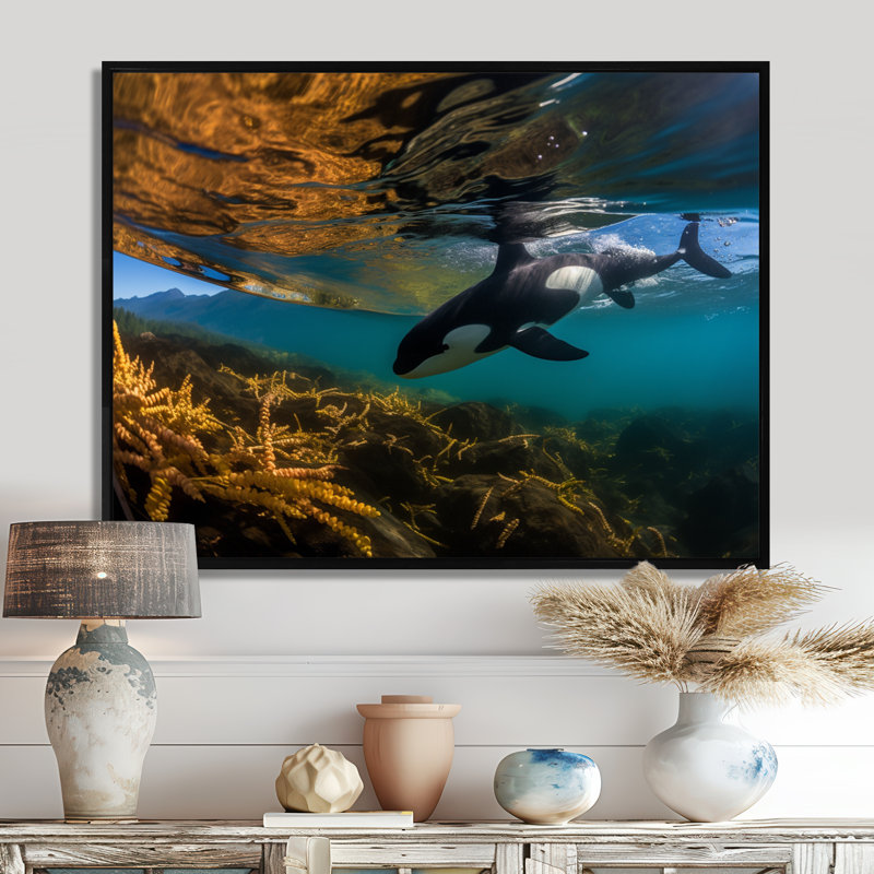 Orque nageant dans un lagon bleu - art mural animaux côtiers, Toile flottante noire encadrée, H 30 po x l 40 po