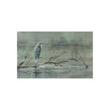 Out On A Limb Print by Leftbank Art