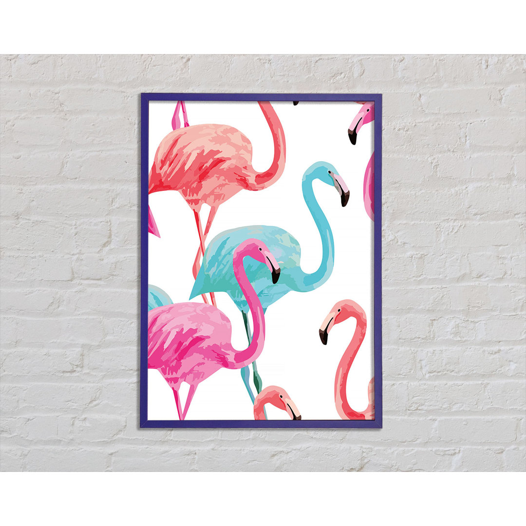 Flamingo Colours - Einzelne Bilderrahmen Kunstdrucke