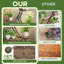 Plant Stand - Set of 8