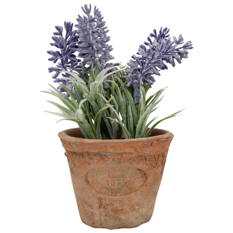 Artificial Lavender in Aged Terracotta Pot, H15.5 x W10.8 x D10.8cm