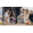 BD6 Series 6 Bottle LED Display Single Zone Freestanding Wine Refrigerator